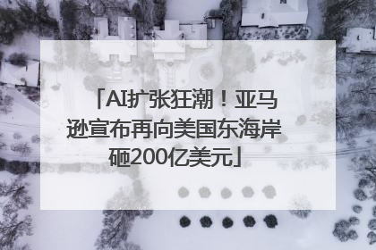 AI扩张狂潮！亚马逊宣布再向美国东海岸砸200亿美元