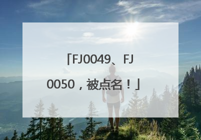 FJ0049、FJ0050，被点名！